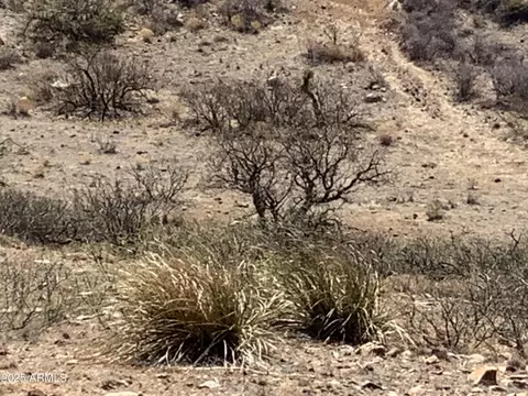 38 E 00ac E Love Ln #53, Willcox, AZ 85643 photo 10