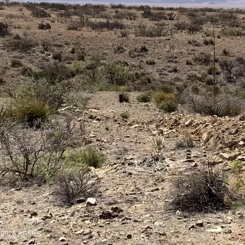 38 E 00ac E Love Ln #53, Willcox, AZ 85643 photo 21