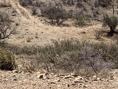 38 E 00ac E Love Ln #53, Willcox, AZ 85643 photo 11