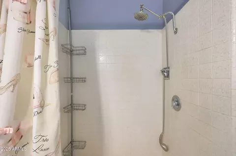Bath - 3177 E Redfield Rd, Gilbert, AZ 85234 photo 8 of 8