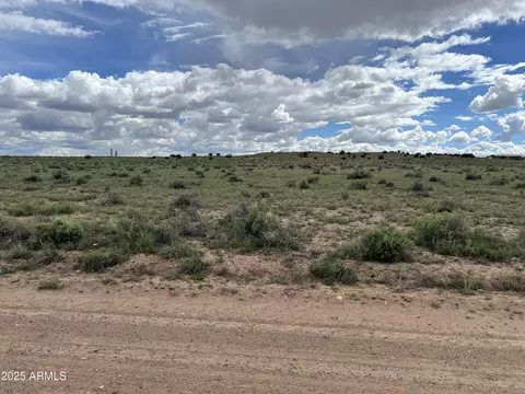 tbd 40 Acres Carrizo Rnch #249, Saint Johns, AZ 85936