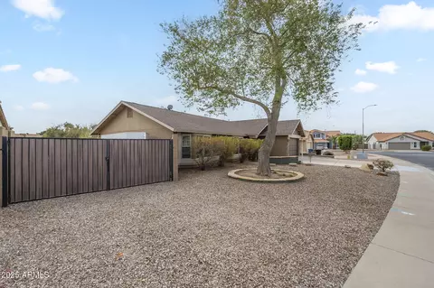4653 Encanto St, Mesa, AZ 85205 photo 3