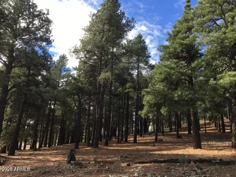9245 Coyote Pass #-, Flagstaff, AZ 86001