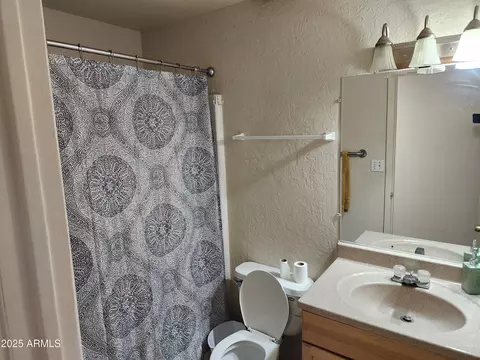 Bath - 4101 E Nancy Ln, Phoenix, AZ 85042 photo 1 of 4