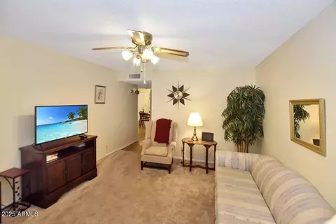 Living - 4328 E Capri Ave #171, Mesa, AZ 85206 photo 4 of 4