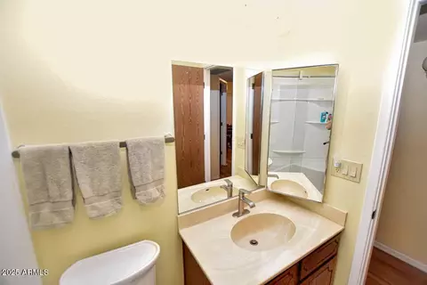 Bath - 4328 E Capri Ave #171, Mesa, AZ 85206 photo 3 of 4