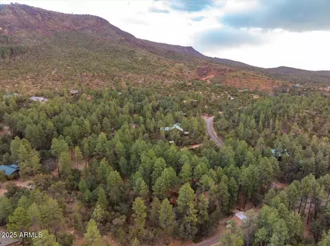 3985 N Whispering Pine Rd, Pine, AZ 85544 photo 41
