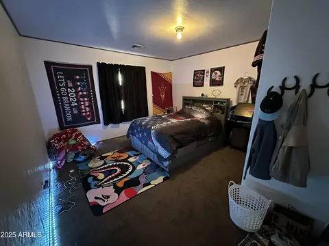 442 S Schuster Dr, Springerville, AZ 85938 photo 16