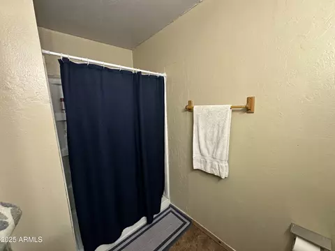 442 S Schuster Dr, Springerville, AZ 85938 photo 20