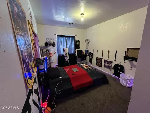 442 S Schuster Dr, Springerville, AZ 85938 photo 14
