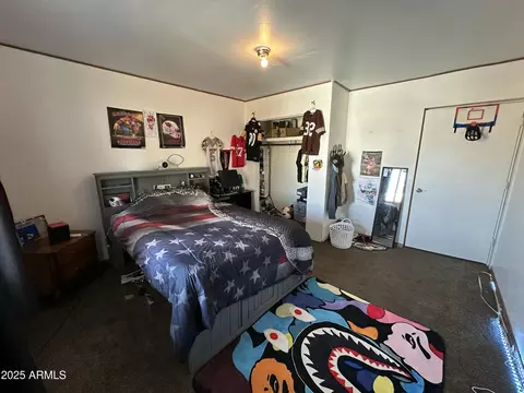 442 S Schuster Dr, Springerville, AZ 85938 photo 17