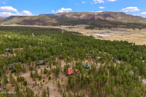 View/Area - 9 County Rd 2074 --, Alpine, AZ 85920 photo 10 of 12