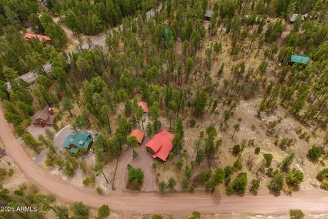 View/Area - 9 County Rd 2074 --, Alpine, AZ 85920 photo 7 of 12