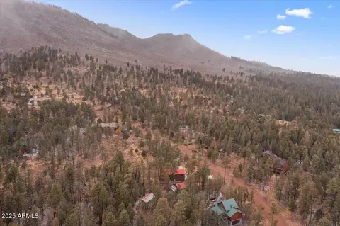 View/Area - 9 County Rd 2074 --, Alpine, AZ 85920 photo 4 of 12
