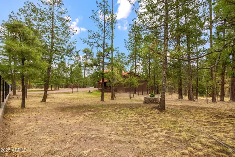 Exterior - 9 County Rd 2074 --, Alpine, AZ 85920 photo 11 of 12