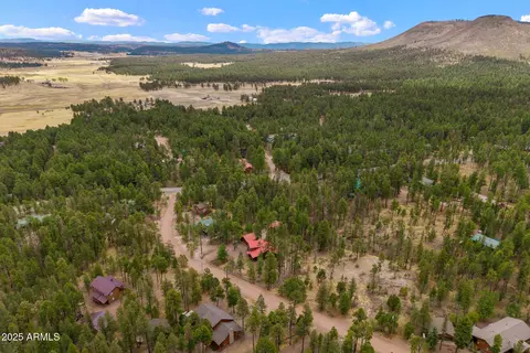 View/Area - 9 County Rd 2074 --, Alpine, AZ 85920 photo 9 of 12