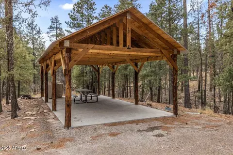 Exterior - 9 County Rd 2074 --, Alpine, AZ 85920 photo 3 of 12