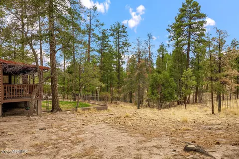 Exterior - 9 County Rd 2074 --, Alpine, AZ 85920 photo 12 of 12