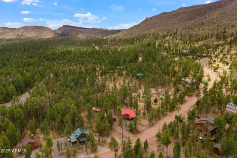 View/Area - 9 County Rd 2074 --, Alpine, AZ 85920 photo 8 of 12
