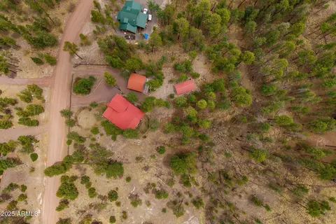 View/Area - 9 County Rd 2074 --, Alpine, AZ 85920 photo 6 of 12