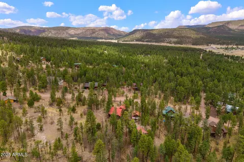 View/Area - 9 County Rd 2074 --, Alpine, AZ 85920 photo 11 of 12