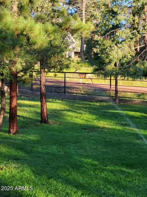 Other - 9 County Rd 2074 --, Alpine, AZ 85920 photo 13 of 16