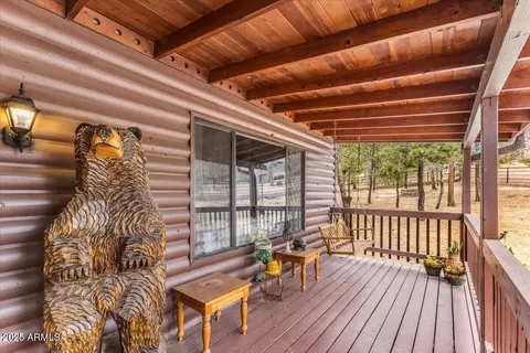 Exterior - 9 County Rd 2074 --, Alpine, AZ 85920 photo 7 of 12