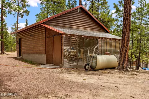 Other - 9 County Rd 2074 --, Alpine, AZ 85920 photo 8 of 16