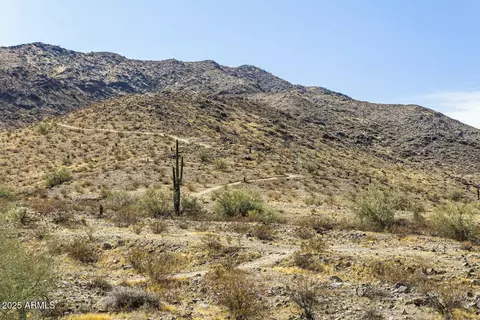 1333 E Pedro Rd, Phoenix, AZ 85042 photo 49