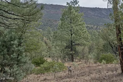 3465 N Whspering Pines Rd, Pine, AZ 85544 photo 43