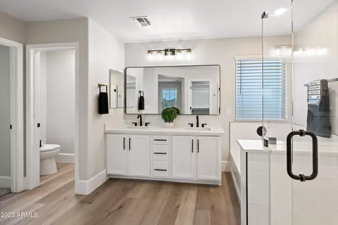 Bath - 2196 E Brigadier Dr, Gilbert, AZ 85298 photo 2 of 5