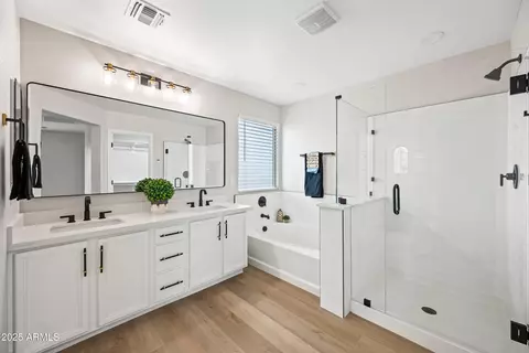 Bath - 2196 E Brigadier Dr, Gilbert, AZ 85298 photo 1 of 5