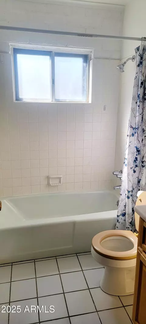 Bath - 1002 E Mescal Dr, Pearce, AZ 85625 photo 8 of 9