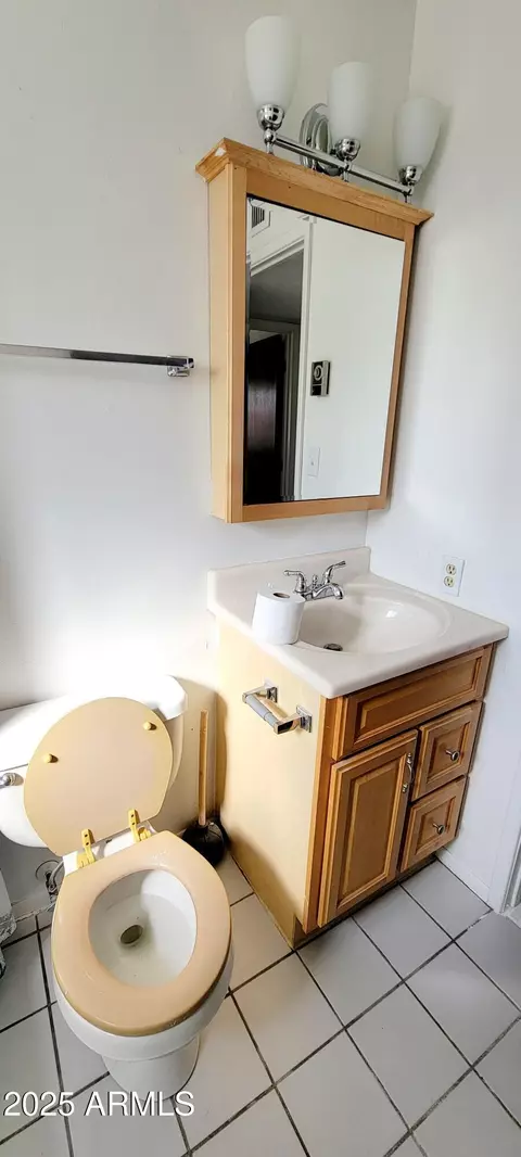 Bath - 1002 E Mescal Dr, Pearce, AZ 85625 photo 9 of 9