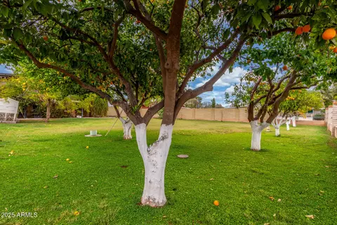 3026 E Campbell Rd, Gilbert, AZ 85234 photo 102