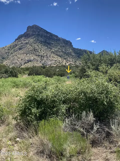 tbd S Wandervogel Way #A, Portal, AZ 85632