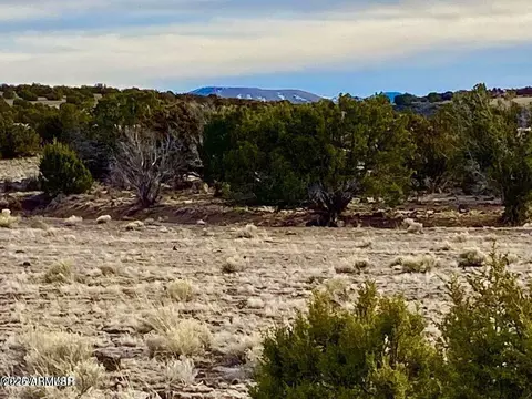 tbd Co Rd 5201 122 Acres -- #-, Concho, AZ 85924