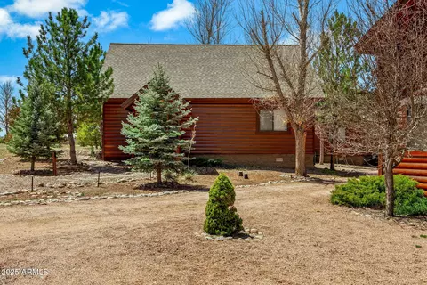 2300 Overgaard Springs Loop, Overgaard, AZ 85933 photo 10
