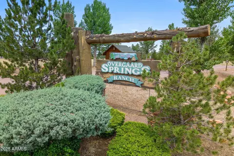 2300 Overgaard Springs Loop, Overgaard, AZ 85933 photo 31