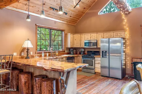 2300 Overgaard Springs Loop, Overgaard, AZ 85933 photo 44