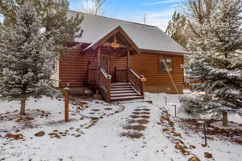 2300 Overgaard Springs Loop, Overgaard, AZ 85933 photo 2