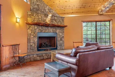 2300 Overgaard Springs Loop, Overgaard, AZ 85933 photo 42