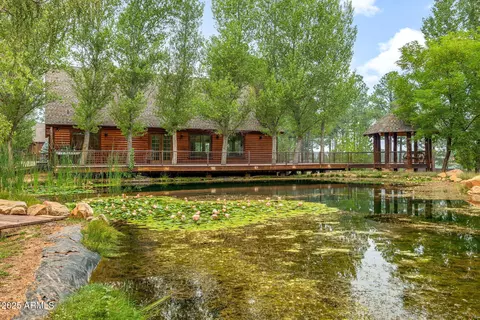 2300 Overgaard Springs Loop, Overgaard, AZ 85933 photo 36