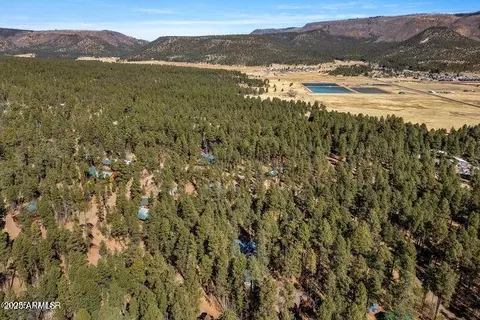 View/Area - 5 County Road 2069 --, Alpine, AZ 85920 photo 5 of 6