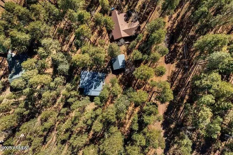 View/Area - 5 County Road 2069 --, Alpine, AZ 85920 photo 2 of 6