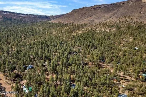 View/Area - 5 County Road 2069 --, Alpine, AZ 85920 photo 6 of 6