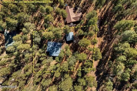 View/Area - 5 County Road 2069 --, Alpine, AZ 85920 photo 1 of 6