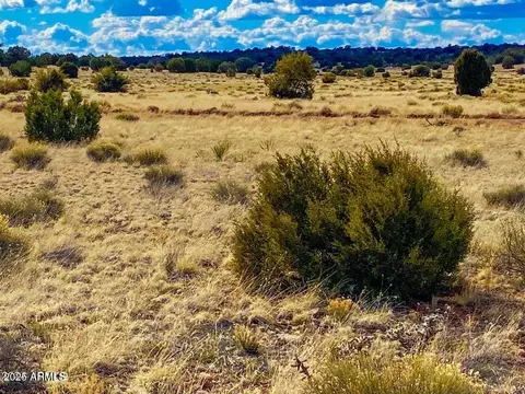 tbd Hyde Park Rd 10 Acres -- #-, Seligman, AZ 86337