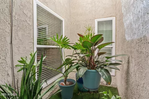 2910 E Avenida Olivos --, Phoenix, AZ 85016 photo 42