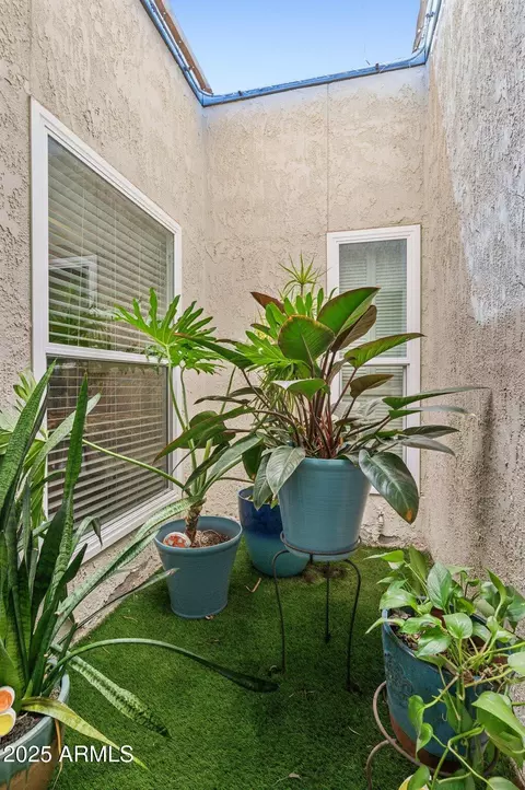 2910 E Avenida Olivos --, Phoenix, AZ 85016 photo 16